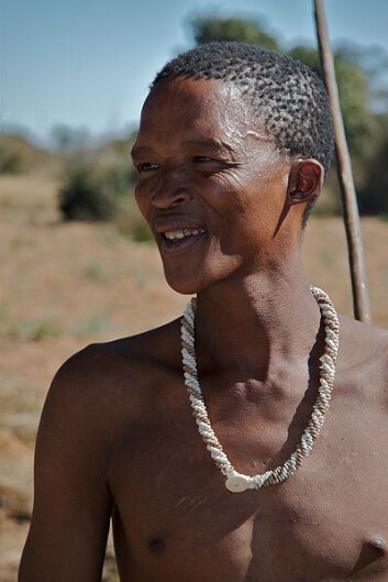 En buskmann, fra San-stammen i Namibia (Foto: Ian Beatty/Wikimedia Creative Commons) En buskmann, fra San-stammen i Namibia (Foto: Ian Beatty/Wikimedia Creative Commons)