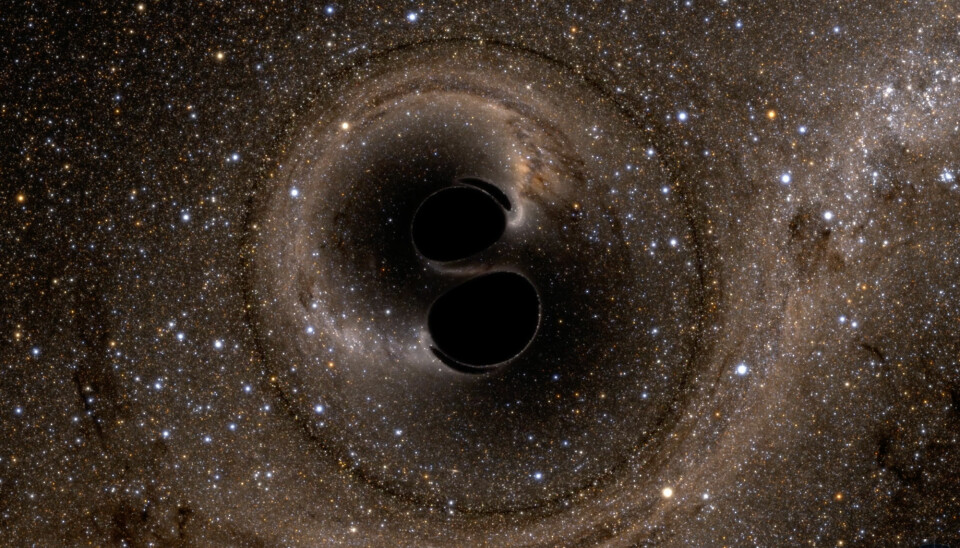 Forskere har brukt gravitasjonsbølger fra to svarte hull som smeltet sammen til å teste en av Stephen Hawkings teorier om svarte hull for første gang.