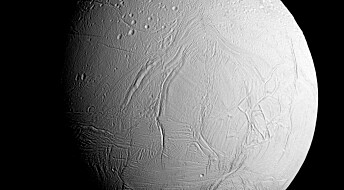 Hvor stor er sjansen for at det er liv på Saturns måne Enceladus?
