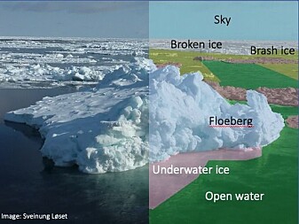An example of what the eye sees on the left, and what 'Knut' sees on the right. An example of what the eye sees on the left, and what 'Knut' sees on the right.