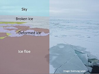 Another example of what you see (left) and what 'Knut' sees (right). Another example of what you see (left) and what 'Knut' sees (right).