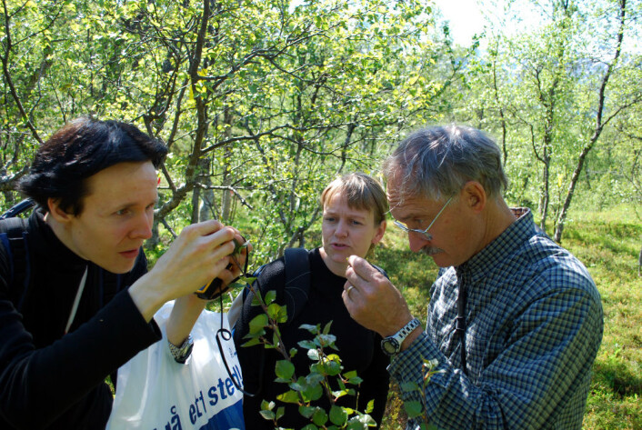(Foto: Helge M. Markusson, Polarmiljøsenteret) (Foto: Helge M. Markusson, Polarmiljøsenteret)