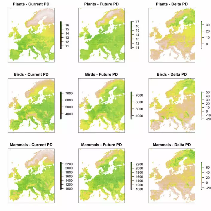 Kartene viser dagens genetiske mangfold og forventede endringer. Gul og grønn farge i kartene lengst til høyre viser områder som ifølge modellene vil få økt biodiversitet for planter, fugler og pattedyr. De øvrige kartene viser dagens biodiversitet (til venstre) og framtidig diversitet (midten). Grønn farge indikerer høy diversitet. (Illustrasjon: Nature/W. Thuiller et. al)
