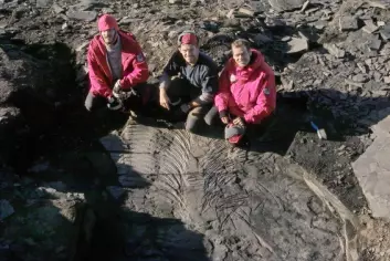 "Paleontolog Michael Maisch, sikkerhetsansvarlig Jörg Lenk og geolog Dierk Blomeier er her avbildet ved funnstedet; i munningen av Sauriedalen på nordsiden av Isfjorden."
