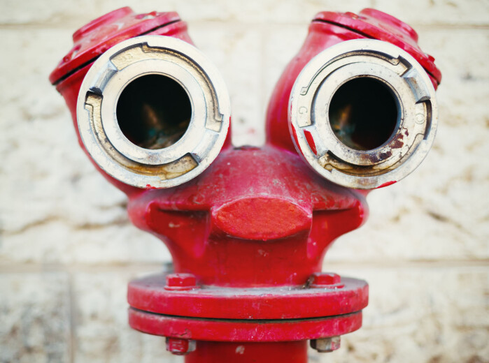 En sjarmerende luring, men i virkeligheten er det en gammeldags brannhydrant. En sjarmerende luring, men i virkeligheten er det en gammeldags brannhydrant.