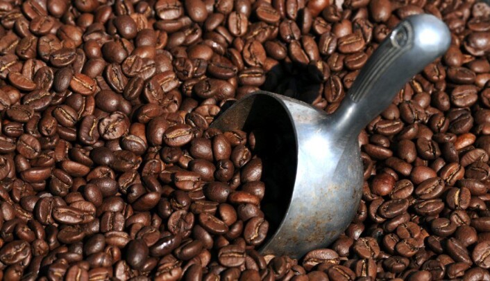 "Ristede kaffebønner er en velkjent duft for mennesker. Men vi trenger kunstig hjelp for å analysere den godt nok, mener forskerne. (Foto: www.colorbox.no)" "Ristede kaffebønner er en velkjent duft for mennesker. Men vi trenger kunstig hjelp for å analysere den godt nok, mener forskerne. (Foto: www.colorbox.no)"