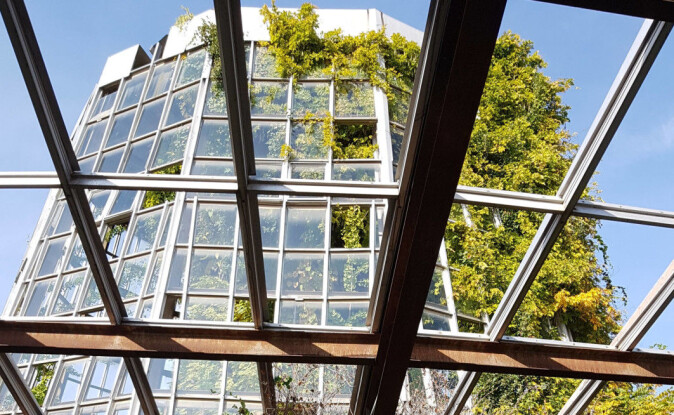 ) The greenhouse of the gene bank at the Institute of Botany, the National Academy of Sciences of Armenia. The windows were broken long ago, so there is nothing to stop the trees from taking over. ) The greenhouse of the gene bank at the Institute of Botany, the National Academy of Sciences of Armenia. The windows were broken long ago, so there is nothing to stop the trees from taking over.
