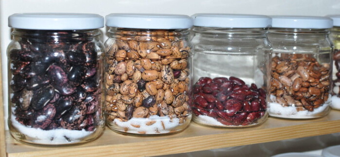 A small selection of bean varieties at the NGO Green Lane, which ensures that seeds of rare varieties can be distributed among farmers. A small selection of bean varieties at the NGO Green Lane, which ensures that seeds of rare varieties can be distributed among farmers.