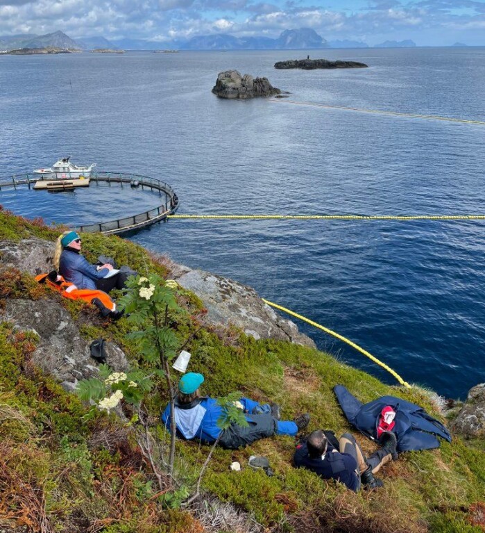 Office with a view. Victoria Vinje, Dr. Dorian Houser and Dr. Petter Kvadsheim scouting for incoming minke whales from Æsøya in Lofoten. Office with a view. Victoria Vinje, Dr. Dorian Houser and Dr. Petter Kvadsheim scouting for incoming minke whales from Æsøya in Lofoten.