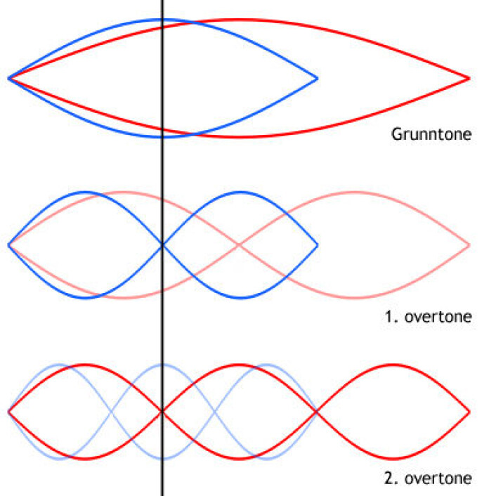 "Øverst: Hunnmyggen har en dypere grunntone (rød) enn den mindre hannen (blå). Myggene samstemmer grunntonene slik at andreharmoniske overtone hos hannen (midten, blå) har samme bølgelengde, og dermed tonehøyde, som tredjeharmoniske overtone hos hunnen (nederst, rød)." "Øverst: Hunnmyggen har en dypere grunntone (rød) enn den mindre hannen (blå). Myggene samstemmer grunntonene slik at andreharmoniske overtone hos hannen (midten, blå) har samme bølgelengde, og dermed tonehøyde, som tredjeharmoniske overtone hos hunnen (nederst, rød)."