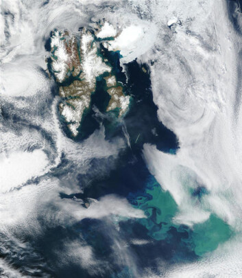 "Satellittbilde av Svalbard med algeoppblomstring i Barentshavet. Bildet ble tatt av NASA i 2002." "Satellittbilde av Svalbard med algeoppblomstring i Barentshavet. Bildet ble tatt av NASA i 2002."