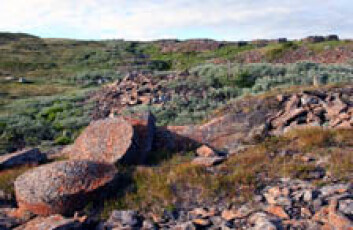 SELBUPROFIL: Kvernstein på huggeplass i Skarvan-Roltdalen nasjonalpark ved Selbu. Foto: Tor Grenne SELBUPROFIL: Kvernstein på huggeplass i Skarvan-Roltdalen nasjonalpark ved Selbu. Foto: Tor Grenne