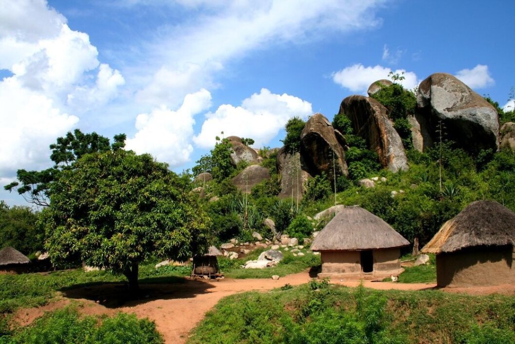 (Illustrasjonsfoto: Shutterstock) (Illustrasjonsfoto: Shutterstock)