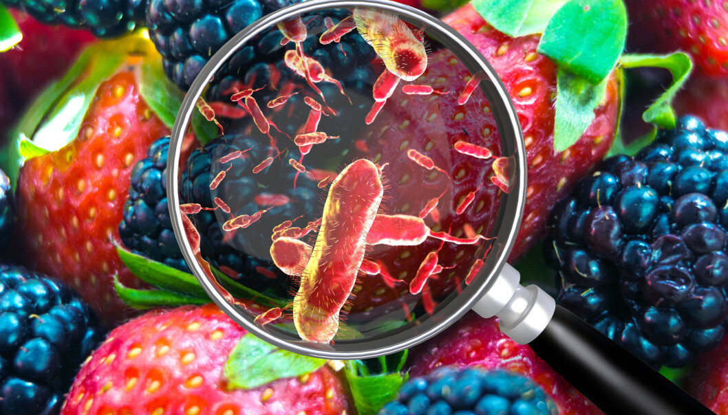 Vet du hvordan du skal unngå å få i deg bakterier, virus og parasitter i maten? Vet du hvordan du skal unngå å få i deg bakterier, virus og parasitter i maten?