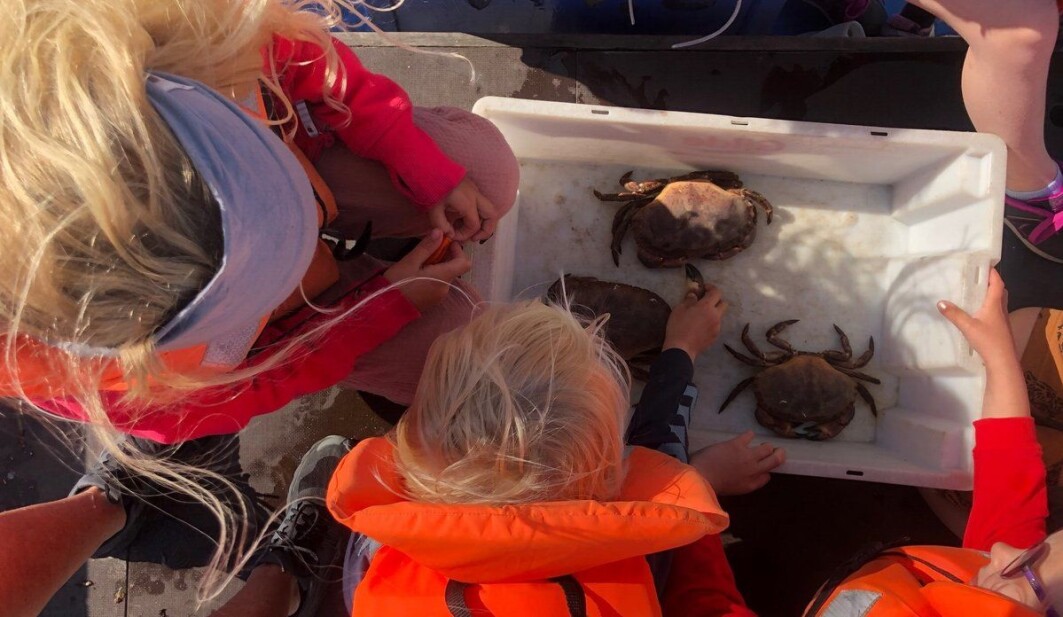 Barna i Bergstø barnehage er ofte ute i båt og lærer om livet i havet. Barna i Bergstø barnehage er ofte ute i båt og lærer om livet i havet.