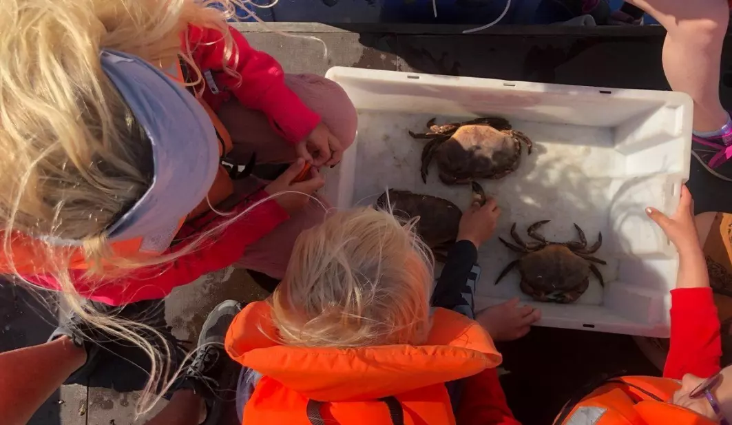 Barna i Bergstø barnehage er ofte ute i båt og lærer om livet i havet.