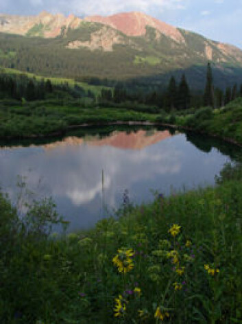 Ferskvann i Colorado, USA, inngår i studien. (Foto: Science/AAAS) Ferskvann i Colorado, USA, inngår i studien. (Foto: Science/AAAS)
