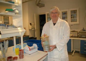 Professor Truls Nesbakken i arbeid i laboratoriet ved Norges veterinærhøgskole. (Foto: Ådne Aadnesen)