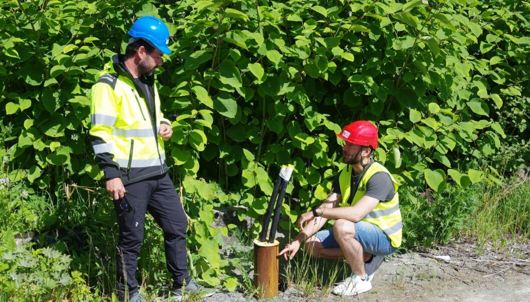 I deler av Trondheim og Oslo er det områder med mye løsmasser, som leire og silt. Det kan gjøre det vanskelig og kostbart å komme ned til berget for å hente ut energien på vanlige måter. Tom André Havnes (t.v.) og prosjektleder Sondre Gjengedal (t.h.) er spent på hvordan energipelene vil kunne prestere. I deler av Trondheim og Oslo er det områder med mye løsmasser, som leire og silt. Det kan gjøre det vanskelig og kostbart å komme ned til berget for å hente ut energien på vanlige måter. Tom André Havnes (t.v.) og prosjektleder Sondre Gjengedal (t.h.) er spent på hvordan energipelene vil kunne prestere.
