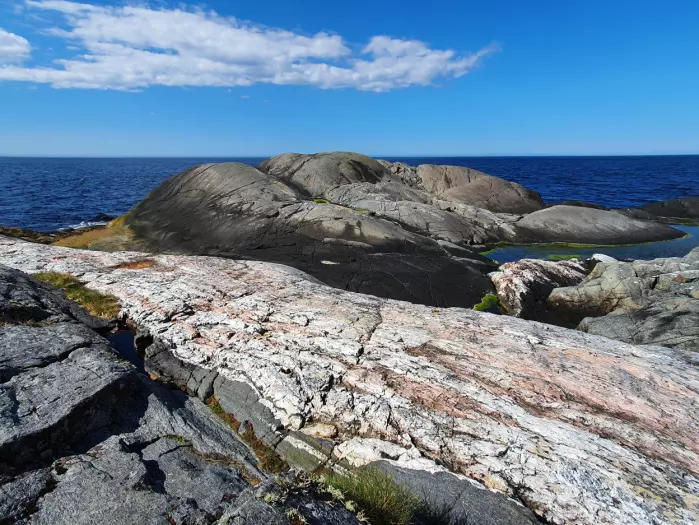 Noen ganger er geologien påfallende – ytterst mot havet i Kristiansunds Folkepark kutter en stor lyserosa åre tvers gjennom de mørke svabergene.