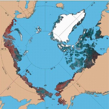 "På den smale stripen av land som utgjør arktisk tundra finnes mange unike arter, som kan forsvinne på grunn av raske klimaendringer." "På den smale stripen av land som utgjør arktisk tundra finnes mange unike arter, som kan forsvinne på grunn av raske klimaendringer."