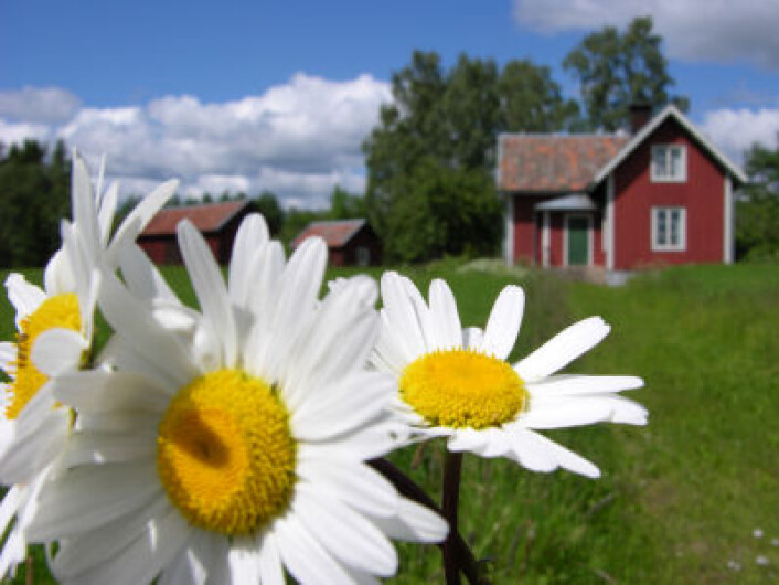 "At de nordiske landene er så effektive, produktive, konkurranse- og omstillingsdyktige strider imot konvensjonelle økonomiske teorier.(Illustrasjonsfoto: iStockphoto)" "At de nordiske landene er så effektive, produktive, konkurranse- og omstillingsdyktige strider imot konvensjonelle økonomiske teorier.(Illustrasjonsfoto: iStockphoto)"