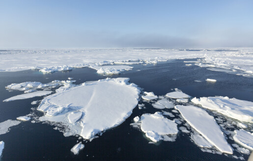 Er sommeren i Barentshavet varm i år?