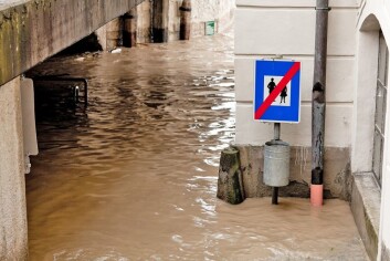 I årene fremover er det beregnet at nedbørsmengden i Norge vil øke. Dette vil føre til flere oversvømmelser og flommer. (Foto: Shutterstock) I årene fremover er det beregnet at nedbørsmengden i Norge vil øke. Dette vil føre til flere oversvømmelser og flommer. (Foto: Shutterstock)