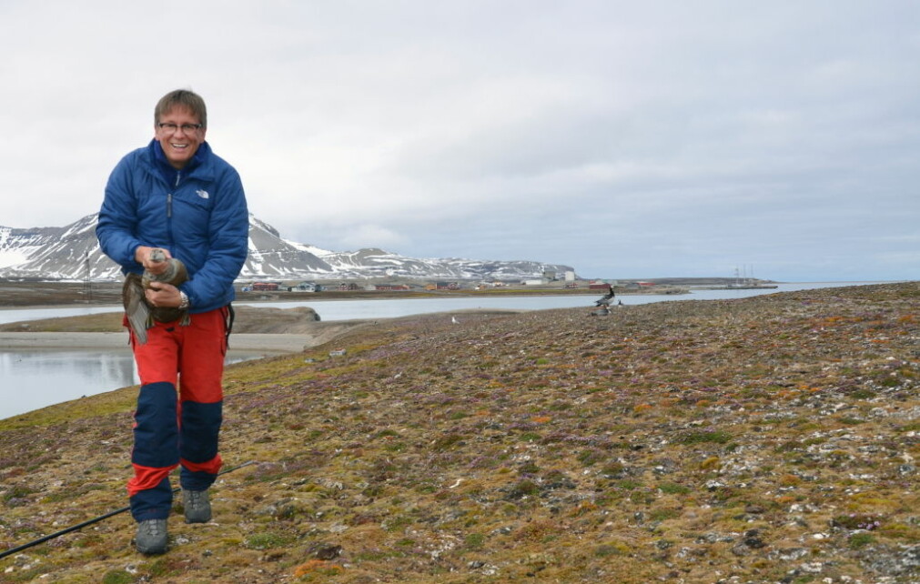 ET GODT ÅR. – Vi trenger disse gode årene for å få opp fugletallene, sier sjøfuglforsker Geir Wing Gabrielsen.