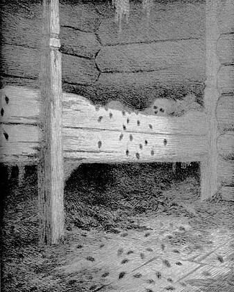 Den norske kunstneren Theodor Kittelsen (1857-1914) har lagd mange tegninger og malerier der han forestiller seg tiden under svartedauden. Den norske kunstneren Theodor Kittelsen (1857-1914) har lagd mange tegninger og malerier der han forestiller seg tiden under svartedauden.