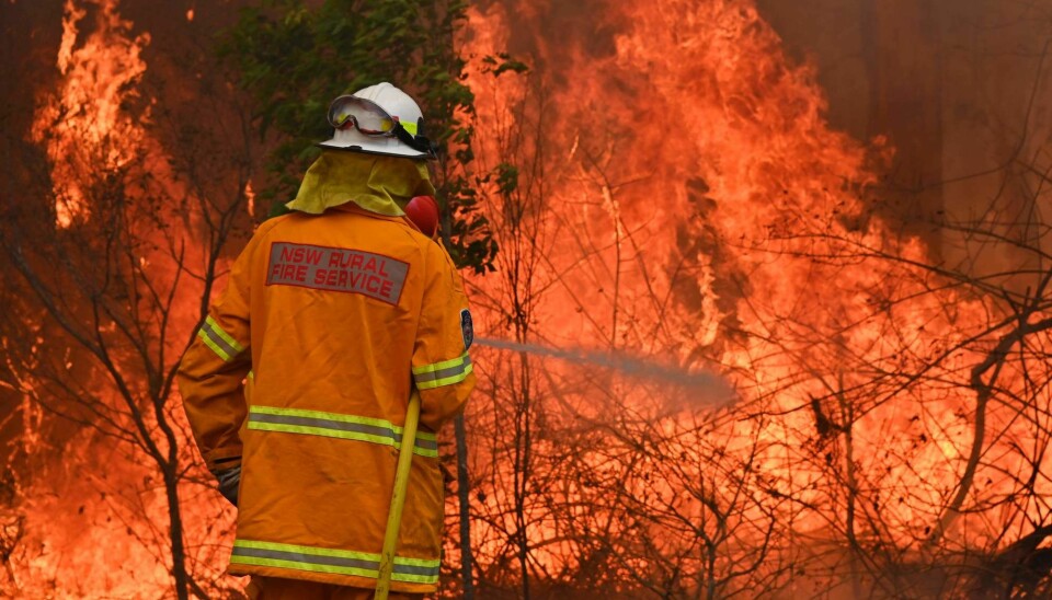 Skogbranner er vanlige i Australia, men brannen i 2019/2020 er blant de verste forskerne vet om.