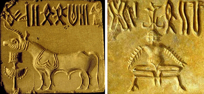 to segl. Foto: J. M. Kenyoer/harappa.com to segl. Foto: J. M. Kenyoer/harappa.com