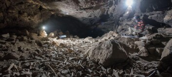 Forskere fant en grotte stappfull av knokler