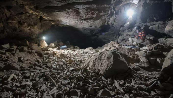 Forskere fant en grotte stappfull av knokler