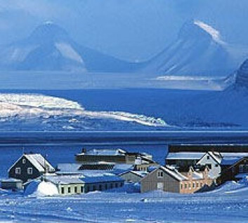 "Ny-Ålesund." "Ny-Ålesund."