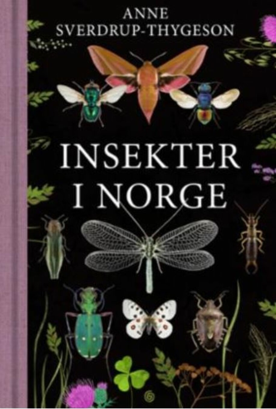 Boken Insekter i Norge kom ut i slutten av juli i år. Her står det om alt fra øyenstikkere og sommerfugler til biller og kakerlakker.