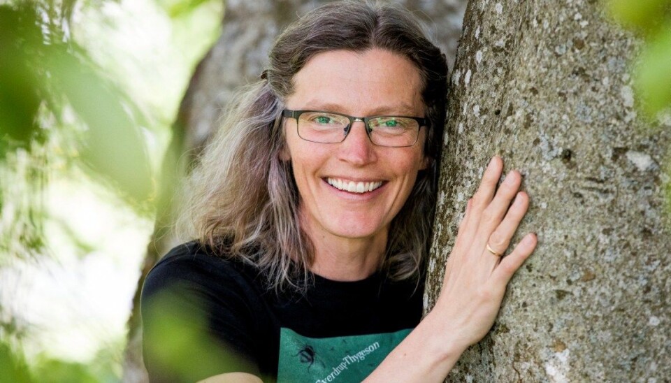 Anne Sverdrup-Thygeson kommer med ny oppslagsbok om norske insekter. - Insekter er vakre, morsomme og ikke minst avgjørende for våre liv, sier hun.