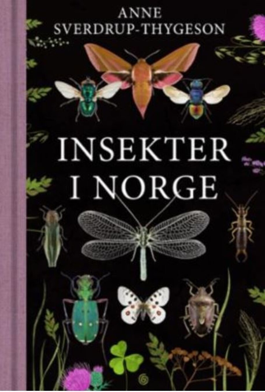 Boken Insekter i Norge kom ut i juli på Kagge Forlag