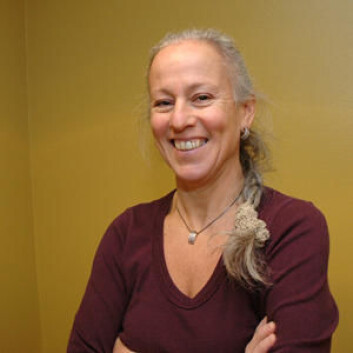 Førsteamanuensis Birgitta Langhammer Førsteamanuensis Birgitta Langhammer