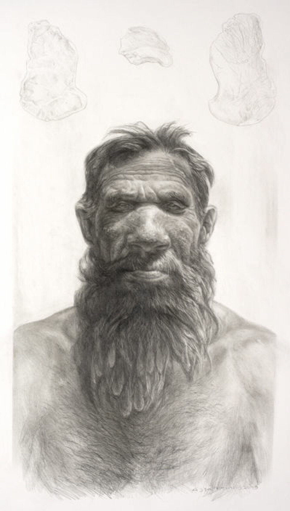 En tenkt framstilling av en ung, mannlig neandertaler. (Tegning: Kennis&Kennis 2009)