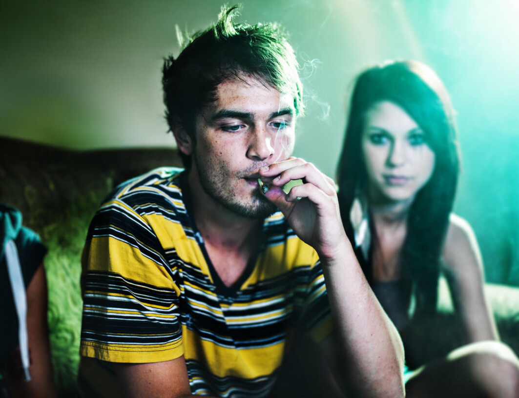 Risikoen for å få schizofreni er veldig lav. Sykdommen rammer om lag 1 prosent av befolkningen. Blant personer med cannabismisbruk er det 6–8 prosent. Risikoen for å få schizofreni er veldig lav. Sykdommen rammer om lag 1 prosent av befolkningen. Blant personer med cannabismisbruk er det 6–8 prosent.