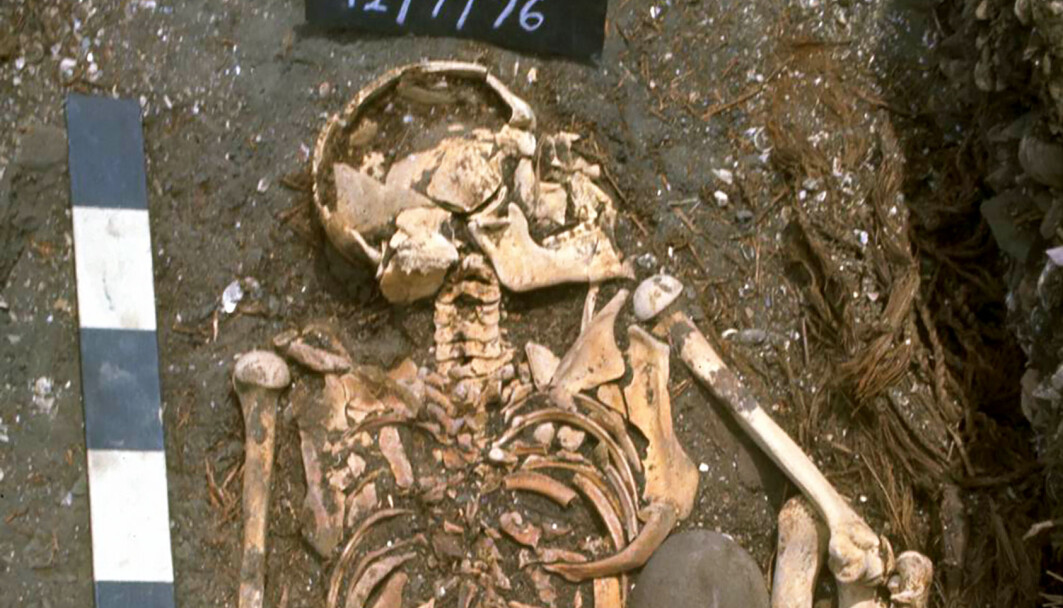 Denne gutten kan ha blitt angrepet av hai for mer enn 6000 år siden. Du kan se bildet i full størrelse i saken. Denne gutten kan ha blitt angrepet av hai for mer enn 6000 år siden. Du kan se bildet i full størrelse i saken.