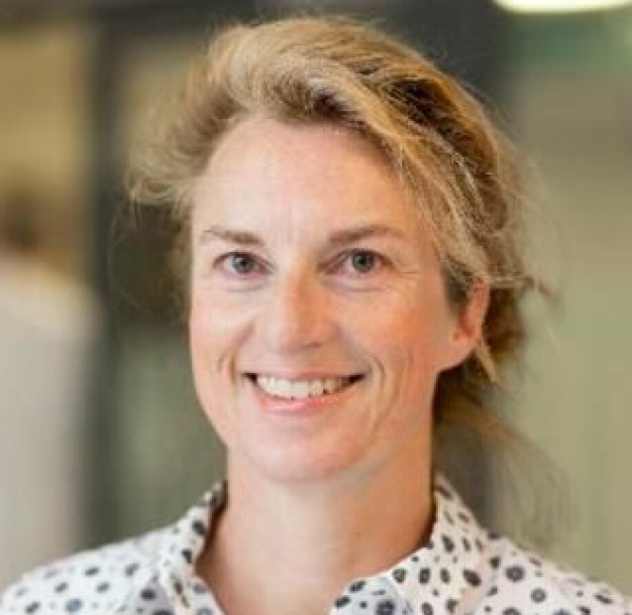 Professor Asta Kristine Håberg ved Institutt for nevromedisin og bevegelsesvitenskap på NTNU.