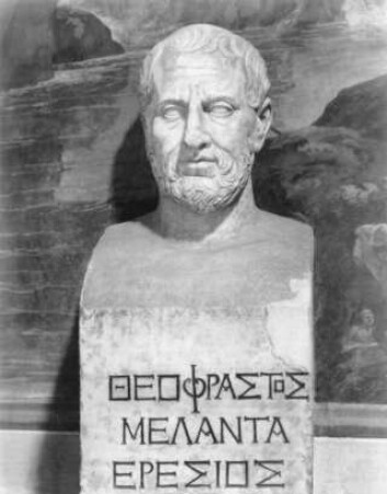 "Filosofen Theophrastus. (Foto: Jørgen Haavardsholm)" "Filosofen Theophrastus. (Foto: Jørgen Haavardsholm)"