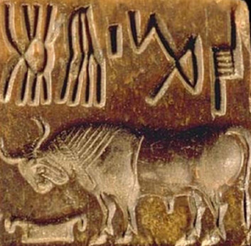 Segl fra Induskulturen med innskrift. Det er ikke kjent hvilken funksjon seglene har hatt, men de kan ha vært brukt i forbindelse med handel og frakt av varer. (Foto: J. M. Kenoyer/harappa.com) Segl fra Induskulturen med innskrift. Det er ikke kjent hvilken funksjon seglene har hatt, men de kan ha vært brukt i forbindelse med handel og frakt av varer. (Foto: J. M. Kenoyer/harappa.com)