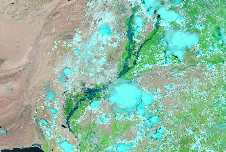 Satelittfoto tatt over Pakistan 15 august 2010. Både Indus- og Jehlum-elven er her blitt synlig større. De lyseblå feltene er skyer. (Foto: Nasa)