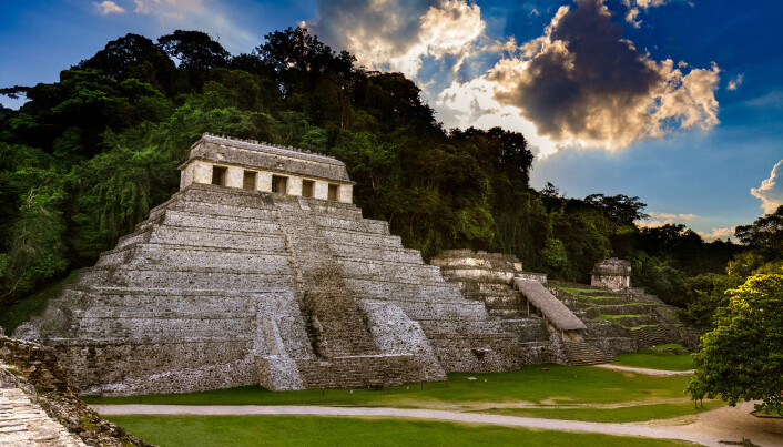 Nasjonalparken Palenque i Mexico ble forskernes arena. Nasjonalparken Palenque i Mexico ble forskernes arena.
