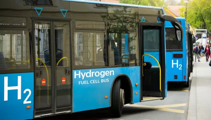 Hydrogenbusser er et vanlig syn flere steder i verden. Men produksjonen av hydrogen er ofte ikke miljøvennlig.
