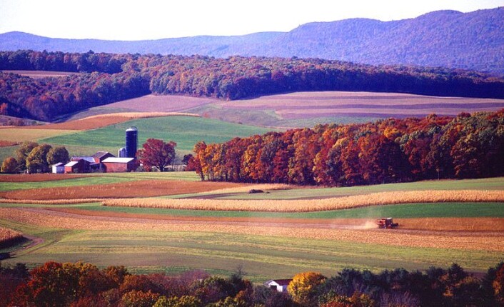 "Det brukes store mengder atrazin i landbruk rundt om i verden. Bildet viser åkre i Pennsylvania i USA. (Foto: Scott Bauer/ Agricultural Research Service/ Wikimedia Commons)" "Det brukes store mengder atrazin i landbruk rundt om i verden. Bildet viser åkre i Pennsylvania i USA. (Foto: Scott Bauer/ Agricultural Research Service/ Wikimedia Commons)"