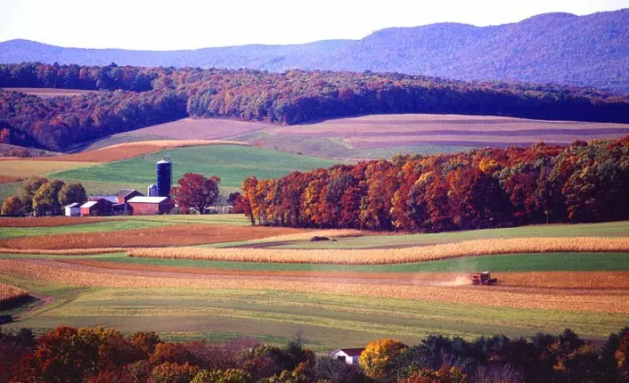 "Det brukes store mengder atrazin i landbruk rundt om i verden. Bildet viser åkre i Pennsylvania i USA. (Foto: Scott Bauer/ Agricultural Research Service/ Wikimedia Commons)"